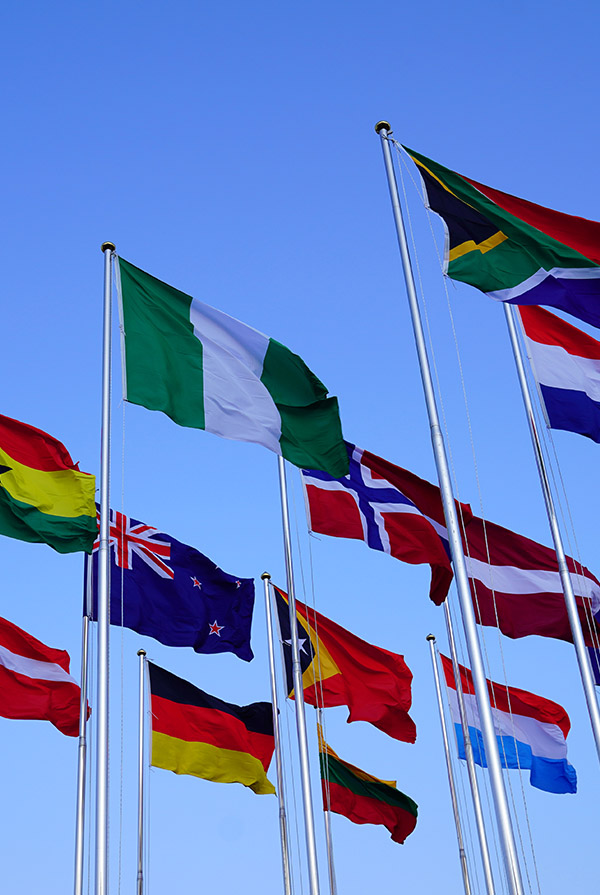 Immigration networking